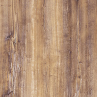APL_220 - Arizona pine - Arizona pine
